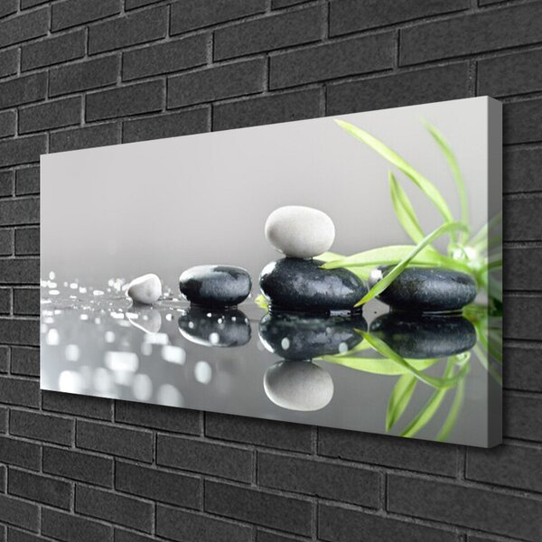 Obraz na plátně Kameny Tráva Umění 120x60 cm
