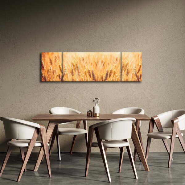 Obraz - pole s obilím (170x50 cm)