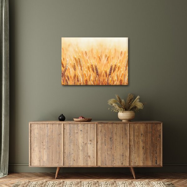 Obraz - pole s obilím (70x50 cm)