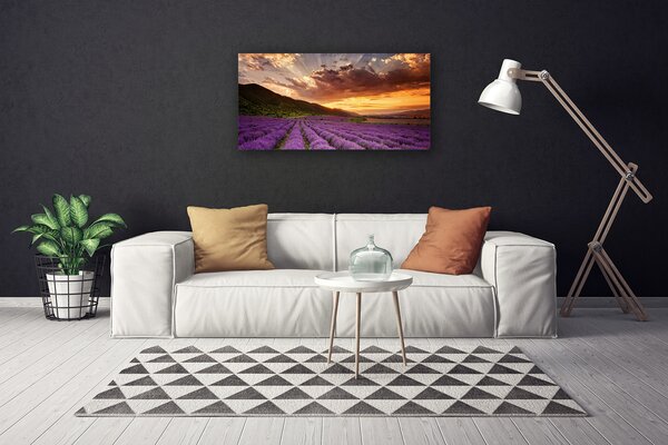 Obraz na plátně Pole Levandule Západ Slunce 120x60 cm