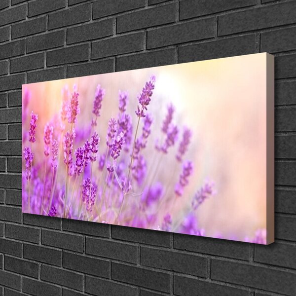 Obraz na plátně Levandulové Pole Slunce Květiny 125x50 cm