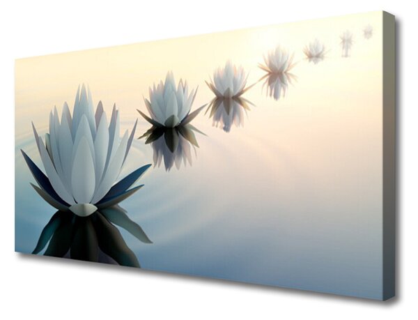 Obraz na plátně Vodní Lilie Bílý Leknín 100x50 cm