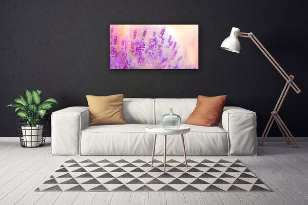 Obraz na plátně Levandulové Pole Slunce Květiny 125x50 cm