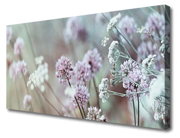 Obraz na plátně Polní Květiny Louka Příroda 125x50 cm