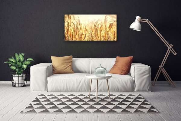 Obraz na plátně Obilí Pole Klasy Příroda 125x50 cm