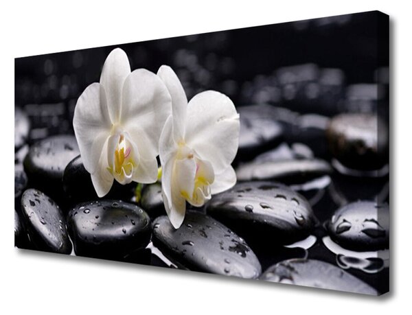 Obraz na plátně Kameny Zen Bílá Orchidej 140x70 cm