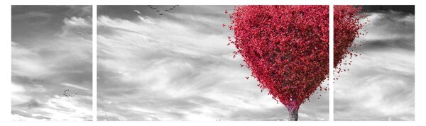 Obraz - Srdce korunou stromu (170x50 cm)