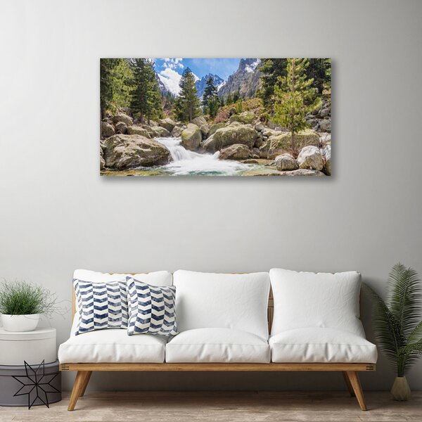 Obraz na plátně Hora Les Kameny Řeka 100x50 cm