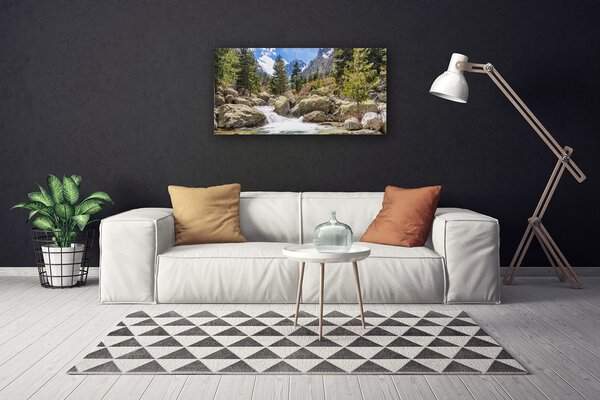 Obraz na plátně Hora Les Kameny Řeka 100x50 cm