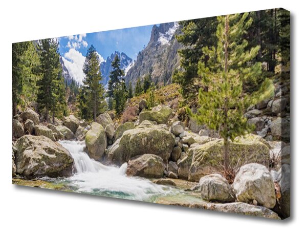 Obraz na plátně Hora Les Kameny Řeka 140x70 cm