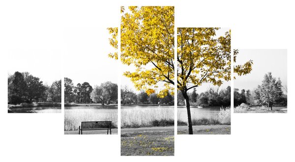 Obraz - Odpočinek v parku (125x70 cm)