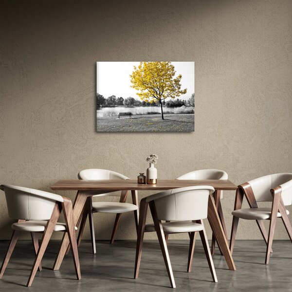 Obraz - Odpočinek v parku (70x50 cm)