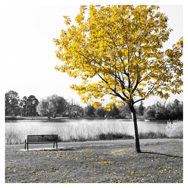 Obraz - Odpočinek v parku (30x30 cm)