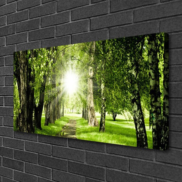 Obraz na plátně Les Slunce Stezka Příroda 140x70 cm