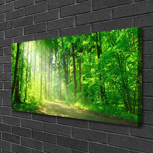 Obraz na plátně Les Cestička Stromy Příroda 140x70 cm