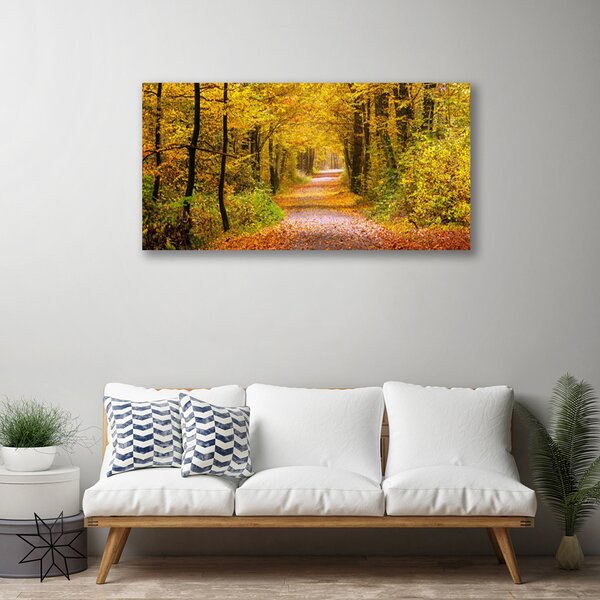 Obraz na plátně Les Rostlina Cestička Příroda 125x50 cm