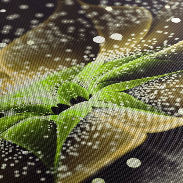 Obraz - Detail květu (170x50 cm)