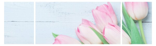 Obraz - Kytice tulipánů (170x50 cm)
