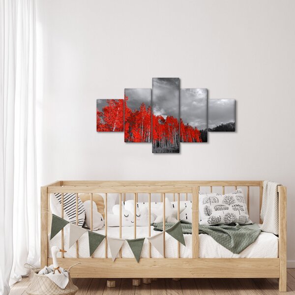 Obraz - Stromy v barvě podzimu (125x70 cm)