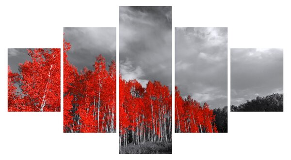 Obraz - Stromy v barvě podzimu (125x70 cm)
