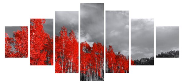 Obraz - Stromy v barvě podzimu (210x100 cm)