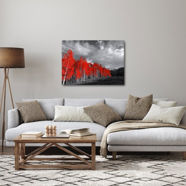 Obraz - Stromy v barvě podzimu (70x50 cm)