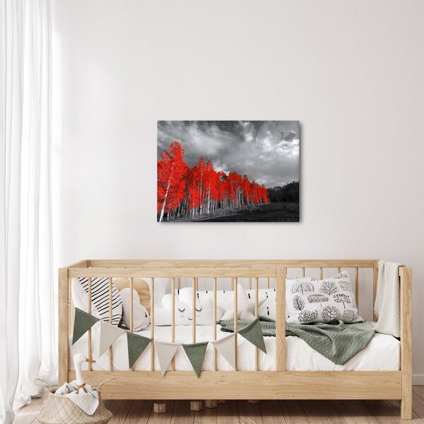 Obraz - Stromy v barvě podzimu (70x50 cm)