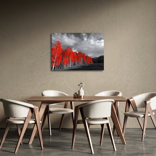 Obraz - Stromy v barvě podzimu (70x50 cm)
