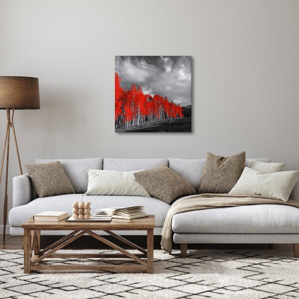 Obraz - Stromy v barvě podzimu (30x30 cm)