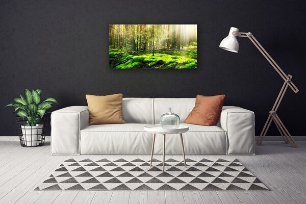 Obraz na plátně Mech Les Příroda 100x50 cm