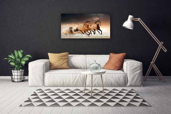 Obraz na plátně Koně Zvířata 100x50 cm