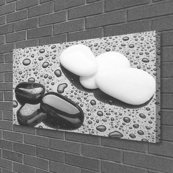 Obraz na plátně Kameny Umění 125x50 cm