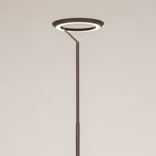 Stojací LED lampa s dotykovým stmívačem Gamma Brown (LMD)
