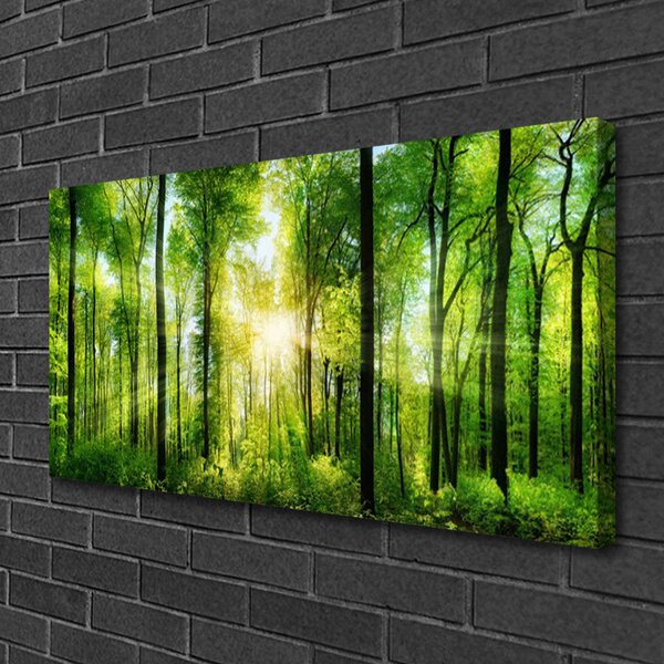 Obraz na plátně Les Příroda 120x60 cm