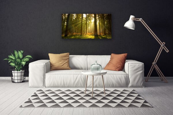 Obraz na plátně Les Příroda 100x50 cm