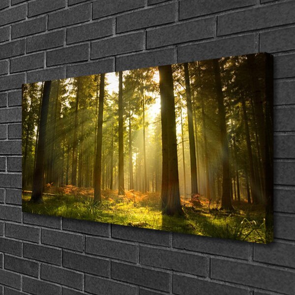 Obraz na plátně Les Příroda 100x50 cm