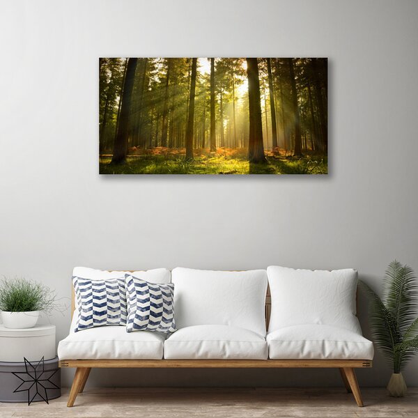 Obraz na plátně Les Příroda 100x50 cm