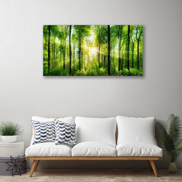 Obraz na plátně Les Příroda 120x60 cm