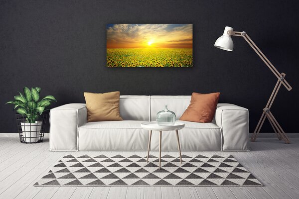 Obraz na plátně Slunce Louka Slunečnice 100x50 cm