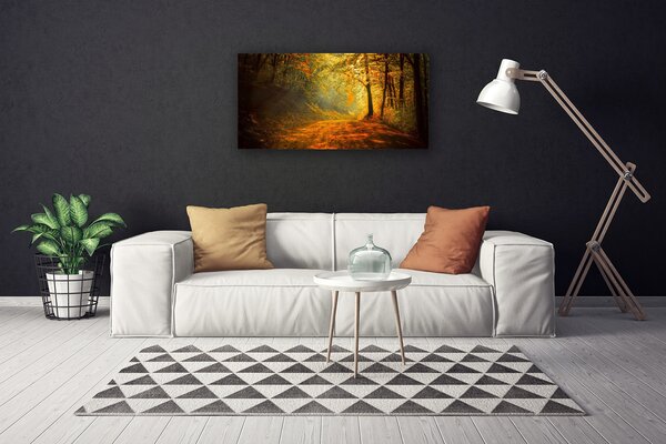 Obraz na plátně Les Cestička Stromy Příroda 100x50 cm