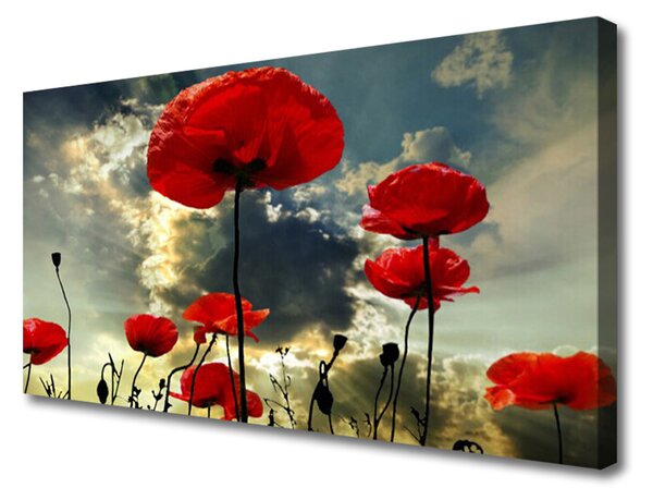Obraz na plátně Máky Květiny Příroda 125x50 cm