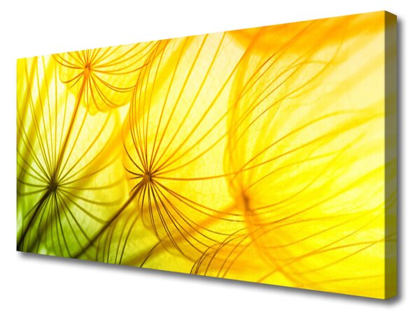 Obraz na plátně Pampelišky Květiny Příroda 100x50 cm