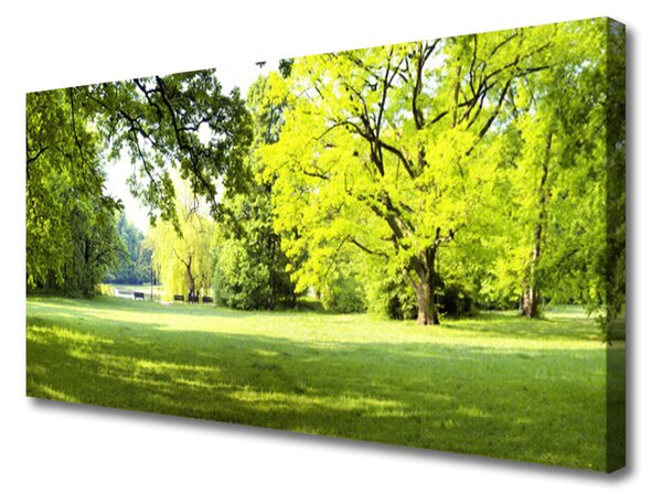 Obraz na plátně Tráva Stromy Park Příroda 100x50 cm