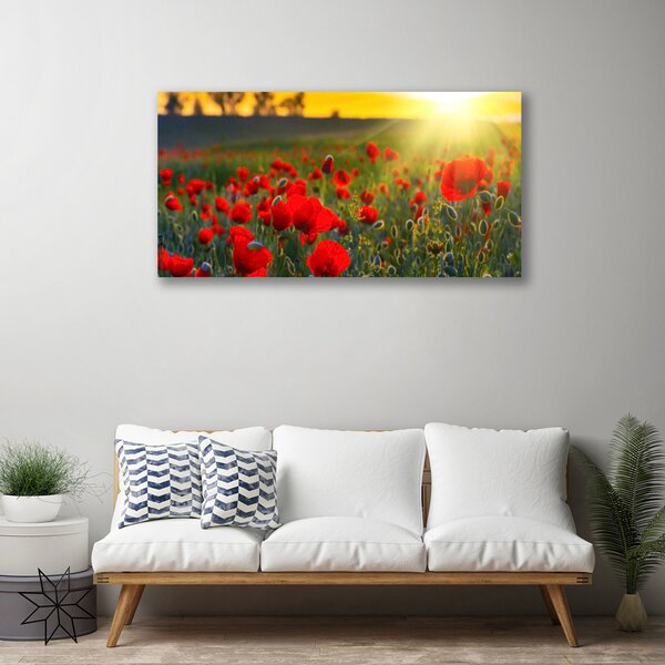 Obraz na plátně Louka Máky Rostlina Příroda 140x70 cm