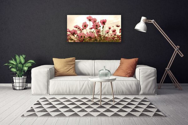 Obraz na plátně Polní Květiny Louka Příroda 100x50 cm