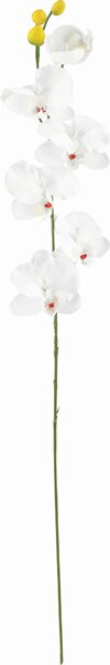 UMĚLÁ KVĚTINA orchidej 72 cm - Umělé květiny