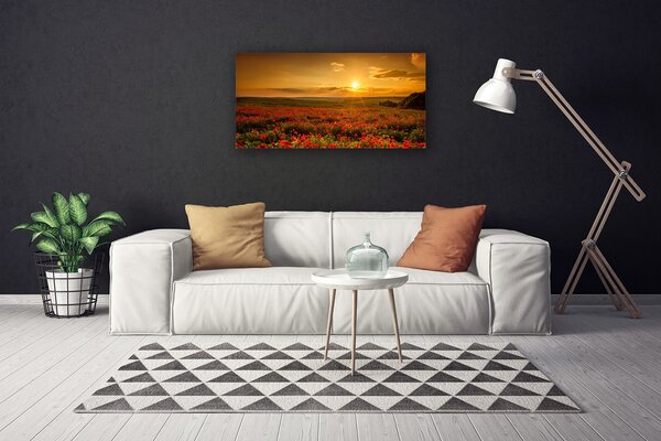 Obraz na plátně Pole Máky Západ Slunce Louka 100x50 cm