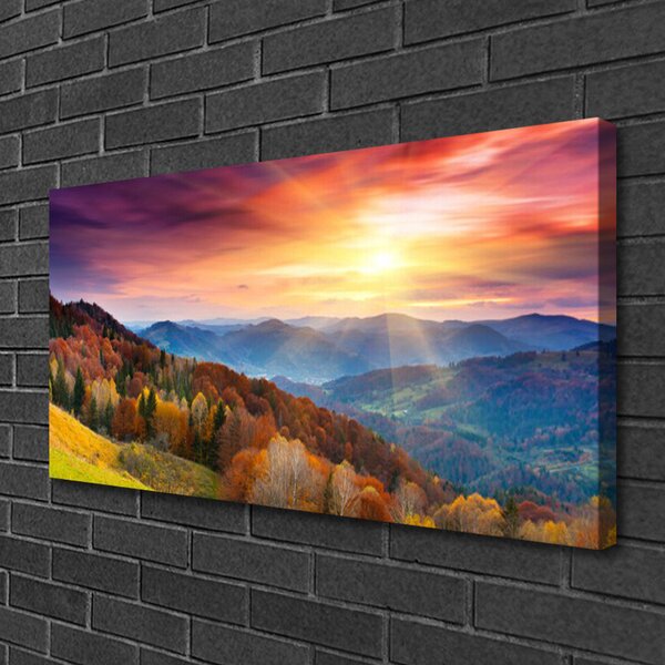 Obraz na plátně Hora Les Slunce Krajina 100x50 cm