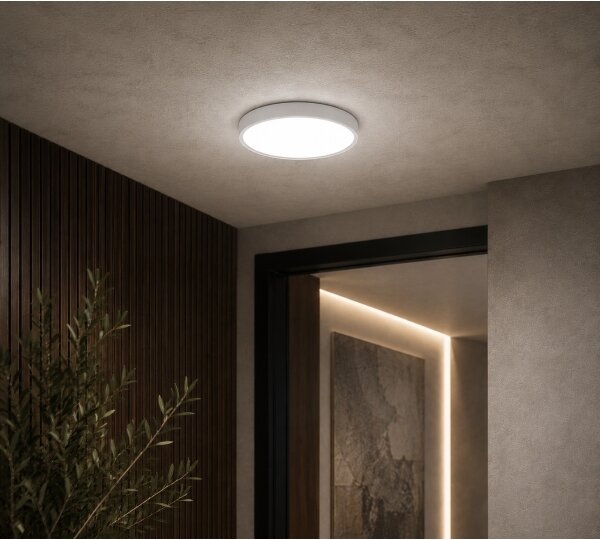 BRILAGI - LED Koupelnové stropní svítidlo ZENNA LED/12W/230V pr. 25 cm IP44 bílá