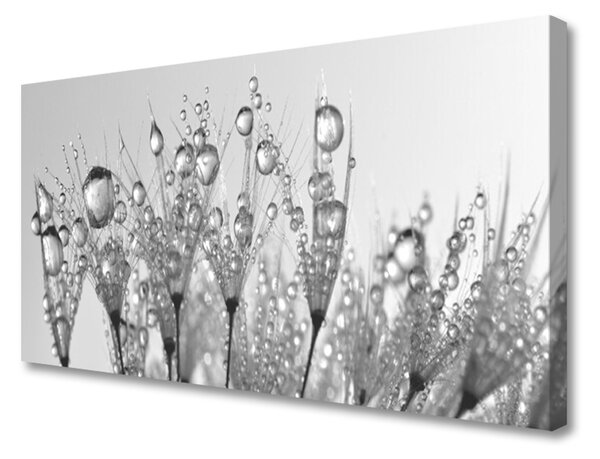 Obraz na plátně Abstrakce Rostlina Příroda 100x50 cm
